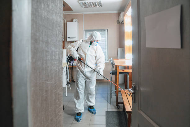 Best Basement Mold Removal  in East Williston, NY